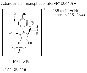 Fragmentation:PR100446p.png