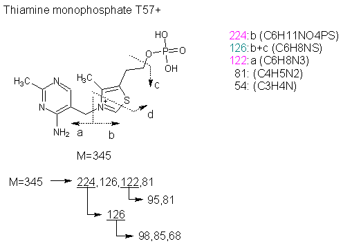 Fragmentation:KOX00608p.png