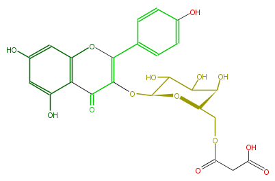 FL5FAAGA0028.png