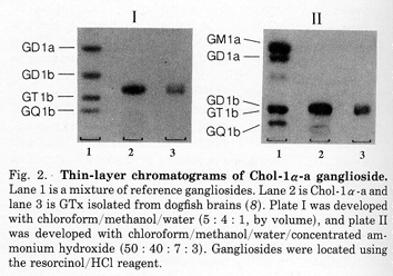 File:GSG1085CH0002.gif