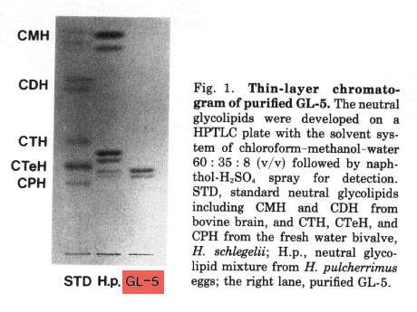 File:GSG1014CH0001.gif