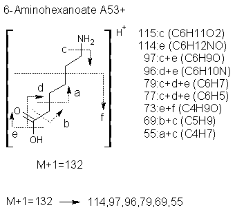 Fragmentation:KOX00043p.png