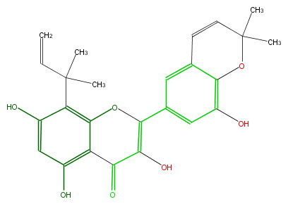 FL5FACNP0005.png