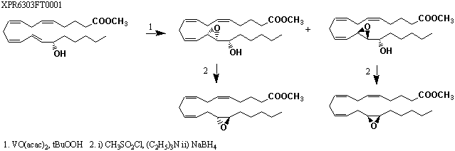 File:XPR6303FT0001.gif