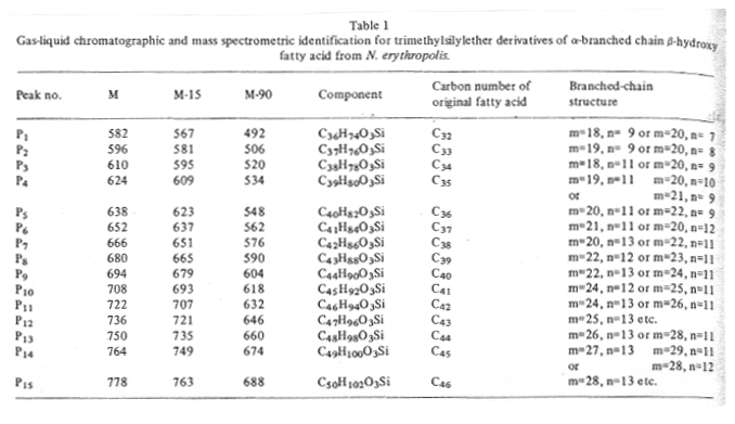 File:MMA0105FT0005.gif