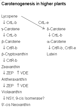 File:VCA0016FT1028.gif