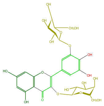 FL5FAGGA0003.png