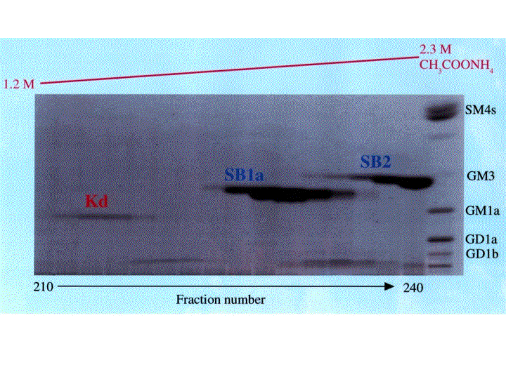 File:GSG0082CH0001.gif