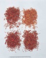 Thumbnail for version as of 10:14, 26 January 2010