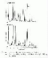 Thumbnail for version as of 13:06, 21 February 2008