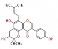 Thumbnail for version as of 17:20, 10 February 2010