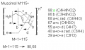 Thumbnail for version as of 14:11, 1 June 2011