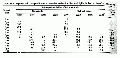 Thumbnail for version as of 13:06, 21 February 2008