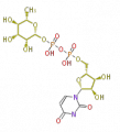 Thumbnail for version as of 10:30, 23 December 2009