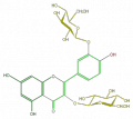 Thumbnail for version as of 17:03, 1 February 2008