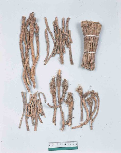 File:Alps:Saposhnikoviae Radix.jpg