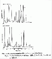 Thumbnail for version as of 13:06, 21 February 2008