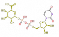 Thumbnail for version as of 10:28, 23 December 2009