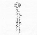 Thumbnail for version as of 13:06, 21 February 2008