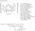 Thumbnail for version as of 14:11, 1 June 2011