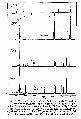 Thumbnail for version as of 13:06, 21 February 2008