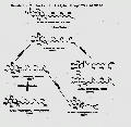 Thumbnail for version as of 13:06, 21 February 2008