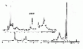 Thumbnail for version as of 13:06, 21 February 2008