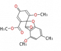 Thumbnail for version as of 14:46, 26 March 2010