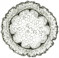 Thumbnail for version as of 22:05, 10 November 2010