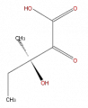 Thumbnail for version as of 16:09, 9 September 2008