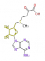 Thumbnail for version as of 16:07, 19 June 2009