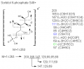 Thumbnail for version as of 22:47, 4 March 2011