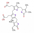 Thumbnail for version as of 10:39, 17 February 2010