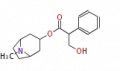 Thumbnail for version as of 11:45, 4 January 2010