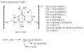 Thumbnail for version as of 22:48, 4 March 2011