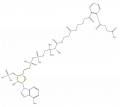 Thumbnail for version as of 16:09, 9 September 2008