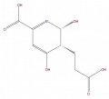 Thumbnail for version as of 16:09, 9 September 2008