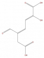 Thumbnail for version as of 16:10, 9 September 2008
