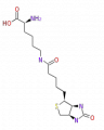 Thumbnail for version as of 16:01, 19 June 2009