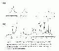 Thumbnail for version as of 13:06, 21 February 2008