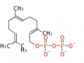 Thumbnail for version as of 16:08, 8 December 2011