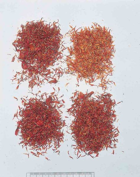 File:Alps:Carthami Flos.jpg