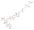 Thumbnail for version as of 11:46, 17 June 2010