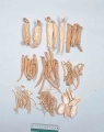 Thumbnail for version as of 09:48, 26 January 2010