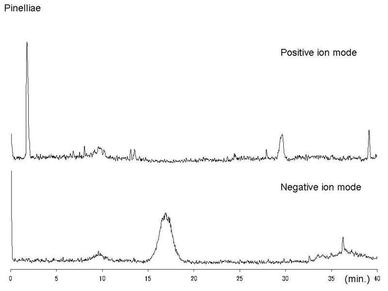 File:Pinelliae LC-MS.jpg