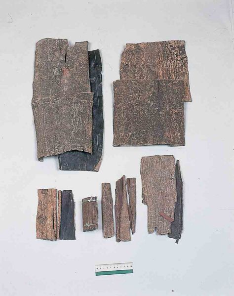 File:Eucommiae Cortex.jpg