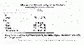 Thumbnail for version as of 13:06, 21 February 2008