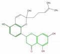 Thumbnail for version as of 17:03, 1 February 2008